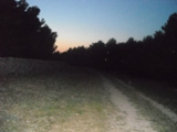 Clicca qui per vedere l'immagine in dettaglio